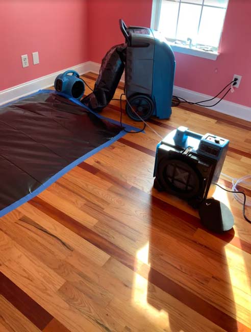 Professional Water Damage Removal